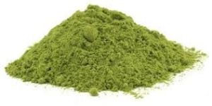 Moringa Powder