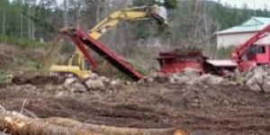 Land Clearance Services