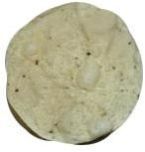 Pepper Papad