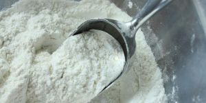 Wheat Flour