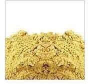 Asafoetida Powder