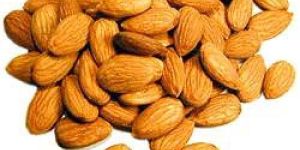 Almond Kernels