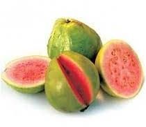 Fresh Red Guava