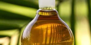 Palm Oil