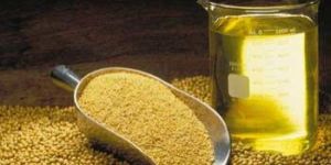 Soya Oil