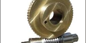 Worm Gear