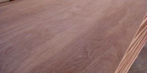 Gurjan Plywood