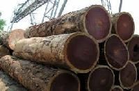 Gurjan Round Logs