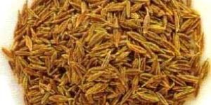 Cumin Seeds
