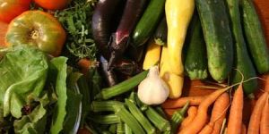 Fresh Vegetables (04)