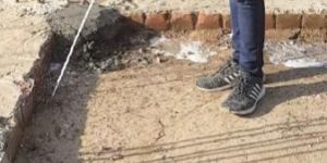 Termite Control Services