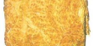 Calcutti Rustica Chewing