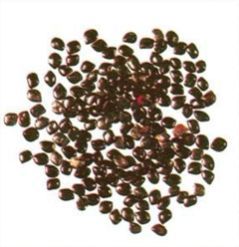 Chaksoo Seeds