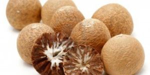 Dried Areca Nuts