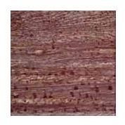 Thar Zebra Sandstone