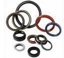 Oil Seal