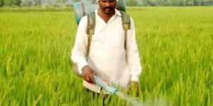 Botanical Insecticide