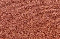 Gloriosa Superba Seeds