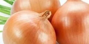 Light Red Onion Seeds