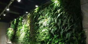 Artificial Greenwall Construction