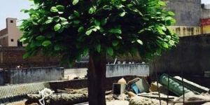 Outdoor Banyan Artificial Tree
