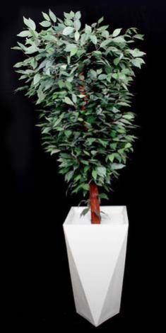 Small Artificial Trees