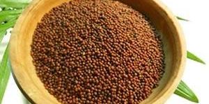Mustard Seed