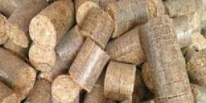 Solid Biomass Briquettes