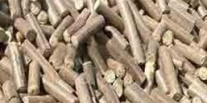 White Coal Briquettes