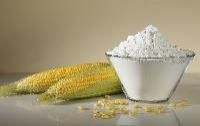 Maize Starch Powder
