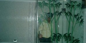 Glass Shower Cubicles