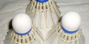 Shuttlecocks