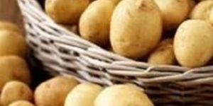 Chandramukhi Potato