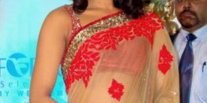 Vivacious Cream Color Net Saree