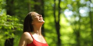 Verus Room Fresheners