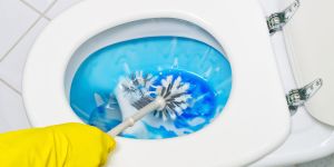 Verus Toilet Bowl Cleaner