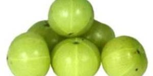 Fresh Amla