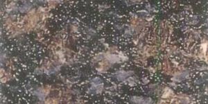 Sapphire Brown Granite Stones
