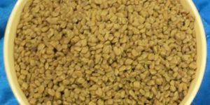 Fenugreek Seeds