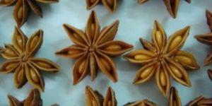 Star Anise