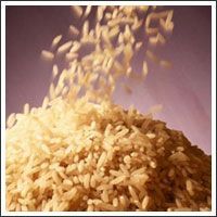 Traditional Basmati Rice