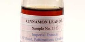 Cinnamon Leaf Oil