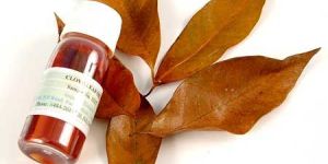 Clove Leaf Oil