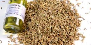 Fennel Seed Oil