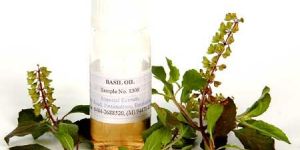 Holy Basil Oil