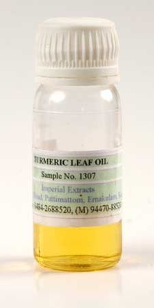 Turmeric Leaf Oil