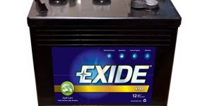 Golf Cart Battery