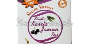 Karela Jamun Ras