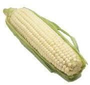 White Maize