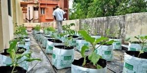 Roof Gardening Services